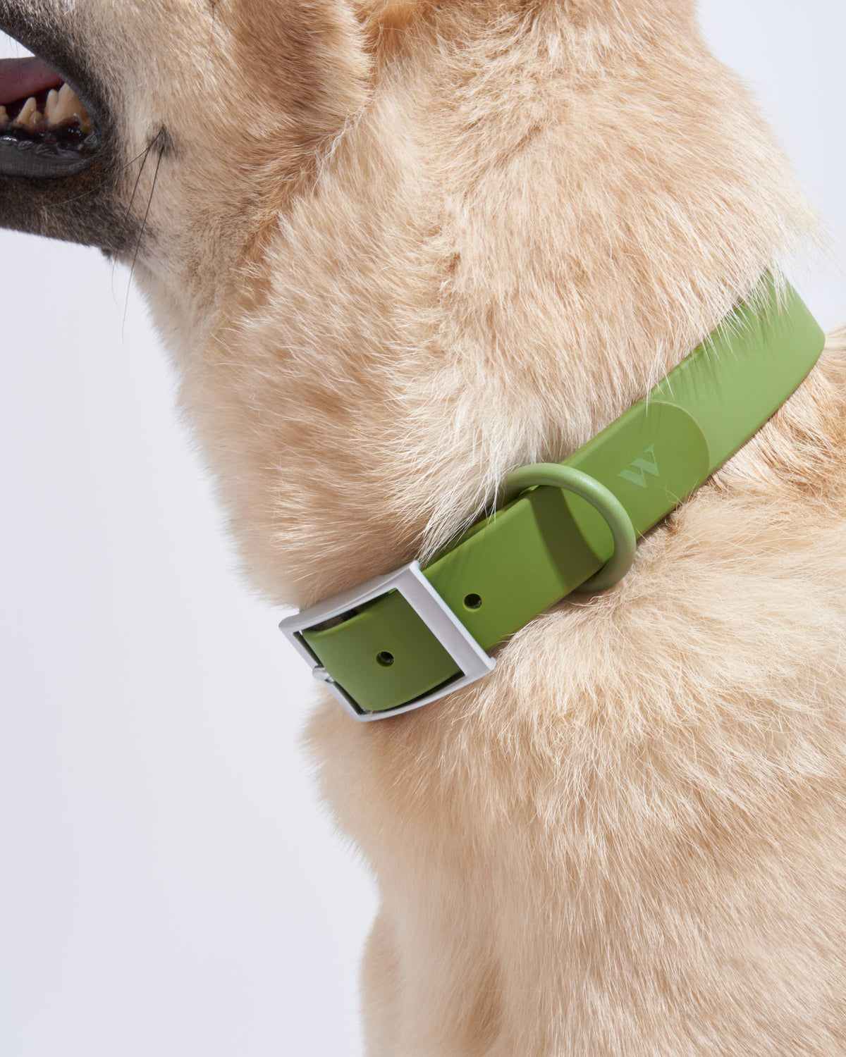 Adjustable Waterproof Fashion Dog Collar: X-SMALL / Blush