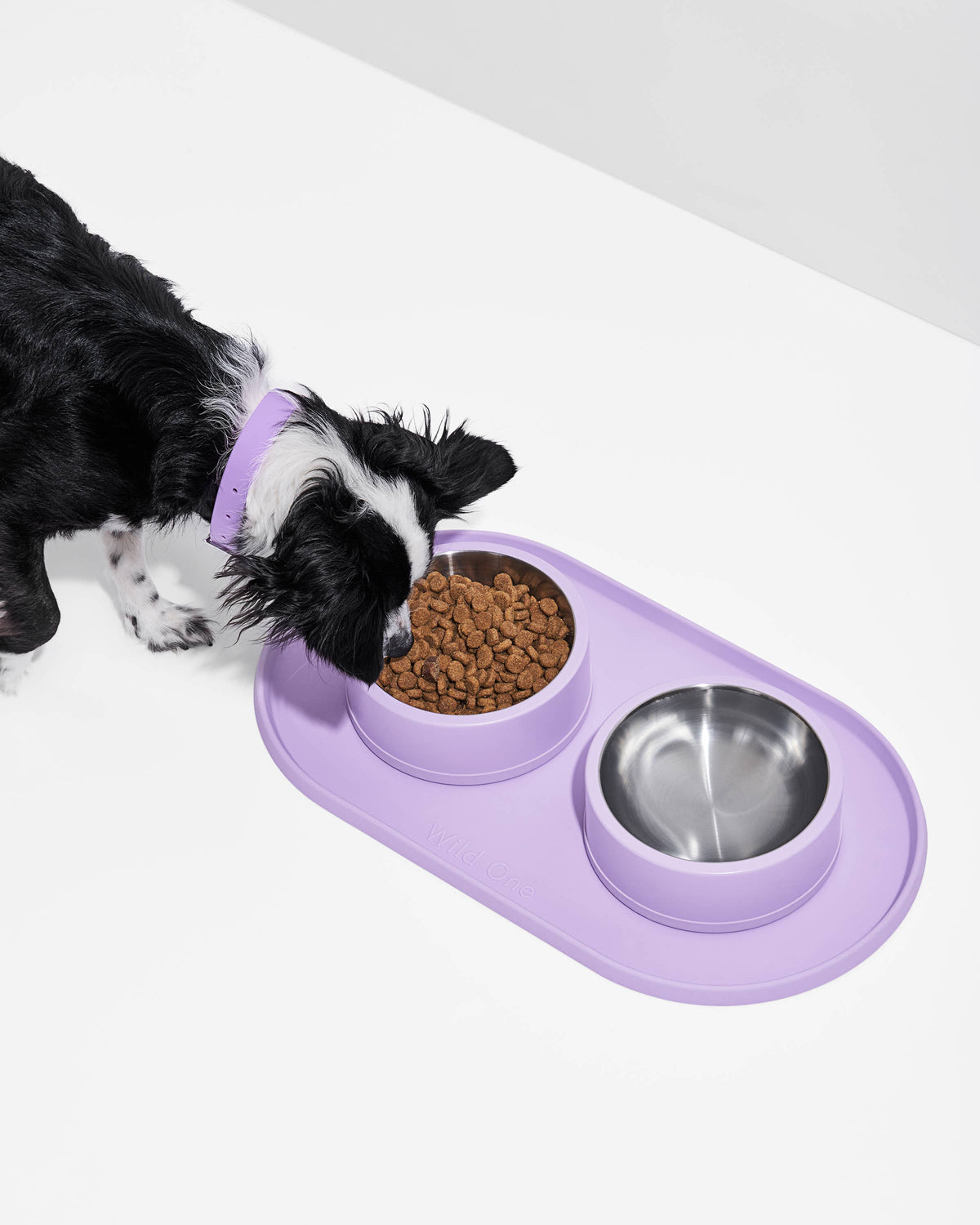 Silicone Dog Placemat: STANDARD / Lilac