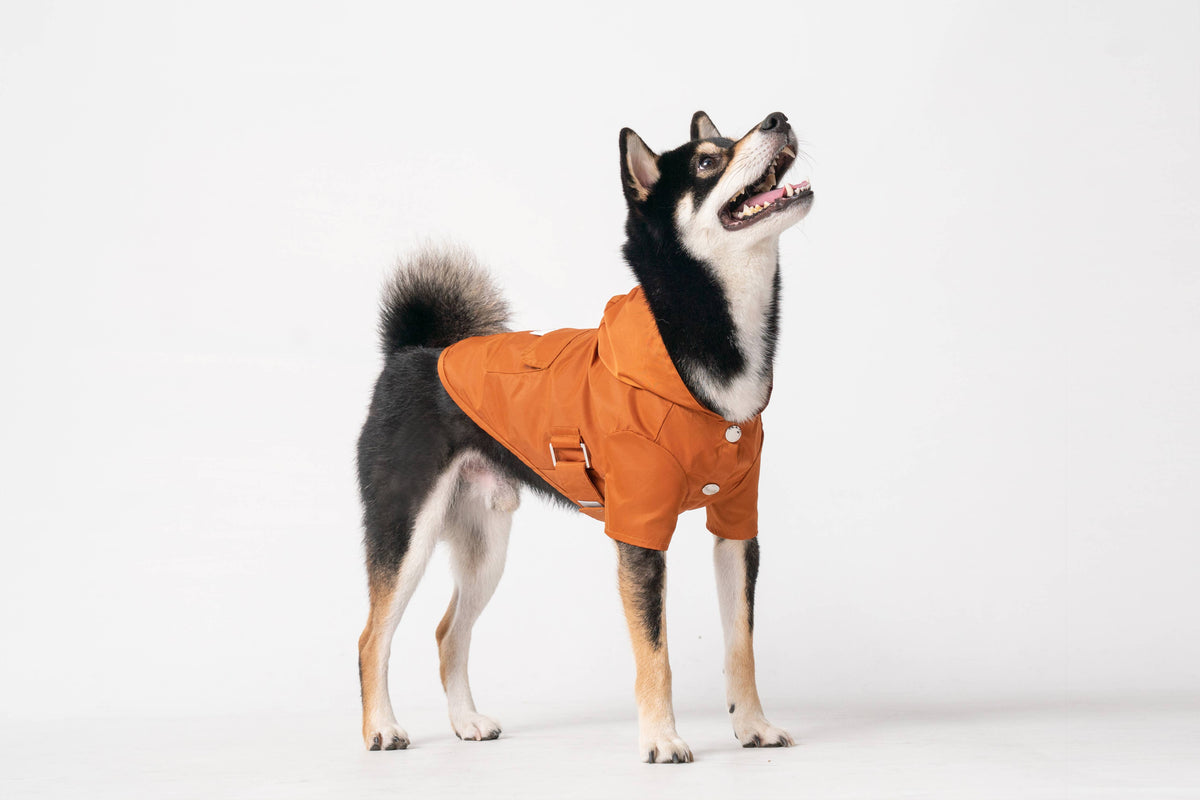 Raincoat - Orange: XL