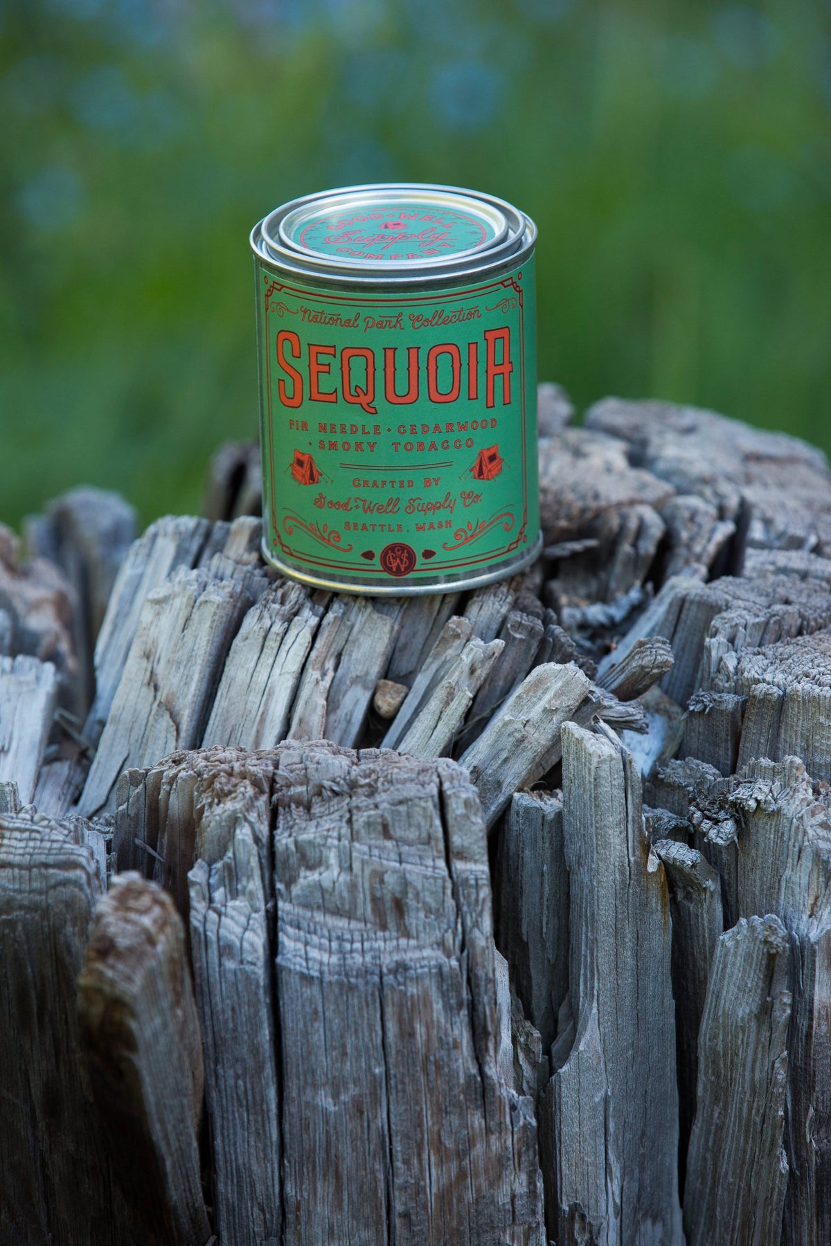 Sequoia National Park Candle