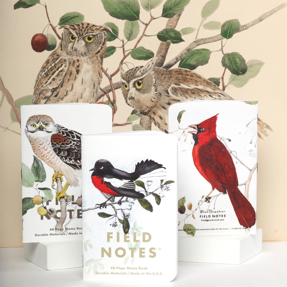 Birds and Trees of North America: Pack C: Redstart - Cardinal - Redshoulder Hawk