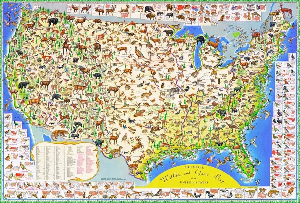 Wildlife Map