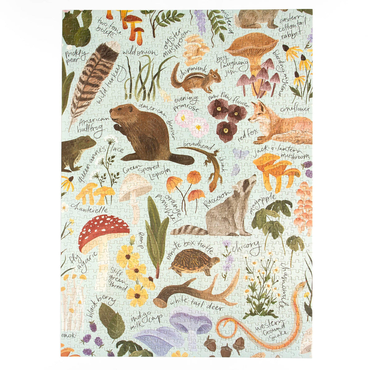 Flora & Fauna - 1,000 Piece Jigsaw Puzzle