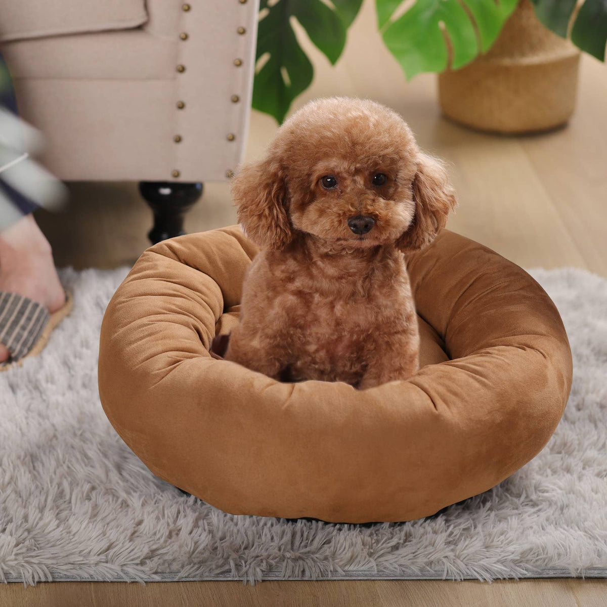 Dog Bed Round Soft Cushion Donut Shape: 20 Inch / Brown