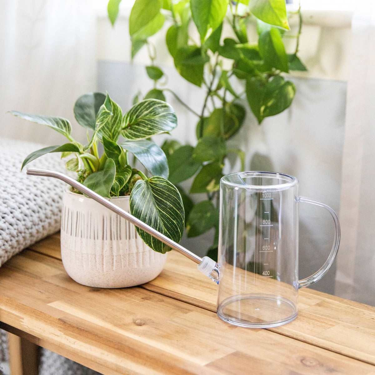 Simply the Best Houseplant Watering Can