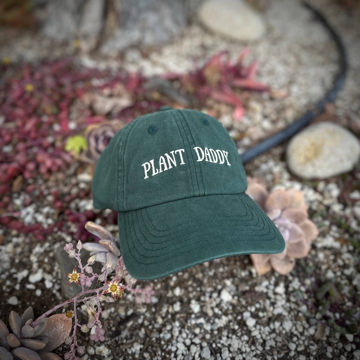 Plant Daddy Hat