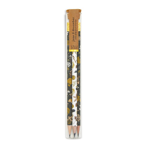 Circle of Life Pencil Terrarium, mixed set of 5 pencils